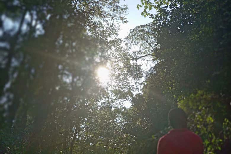 Contemplando a natureza exuberante de Baía Málaga