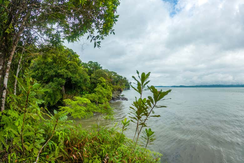 Costa de Baía Málaga