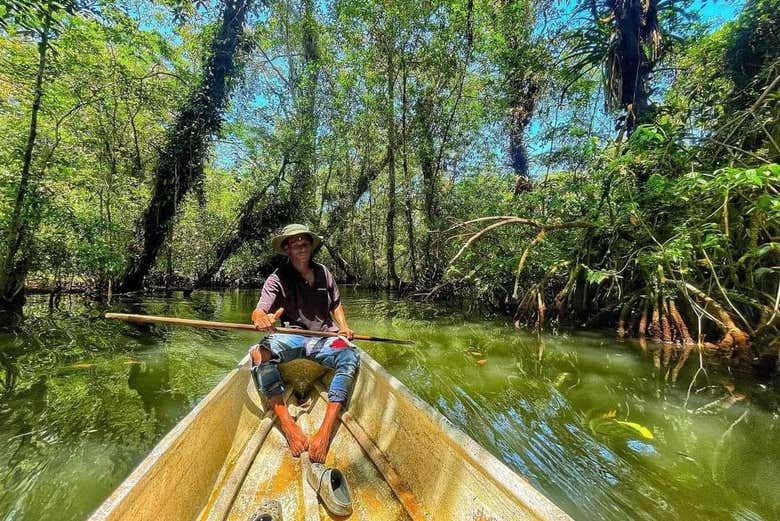 Navegando pelos manguezais de Baía Málaga