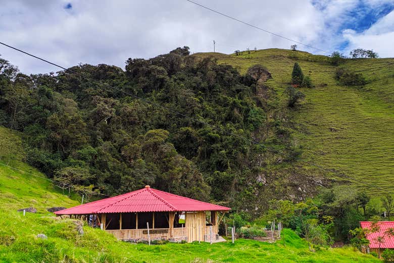 Learn about local indigenous culture