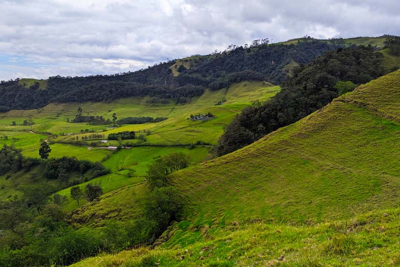 Stroll through the beautiful landscapes