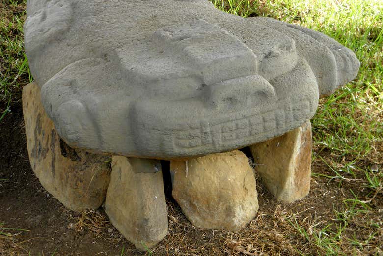 Un lagarto en el parque arqueológico