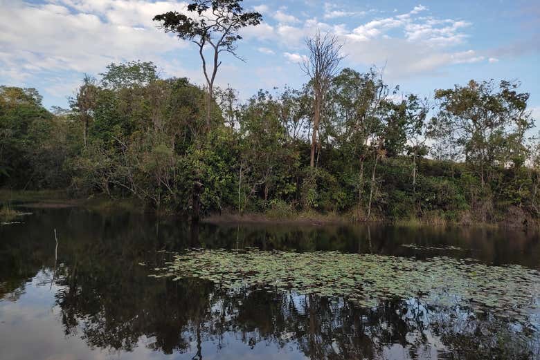 Naturaleza en el lago EL Bolsón