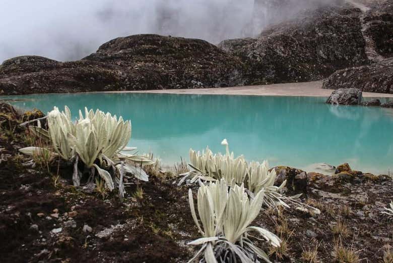 Lago en el volcán Nevado del Huila
