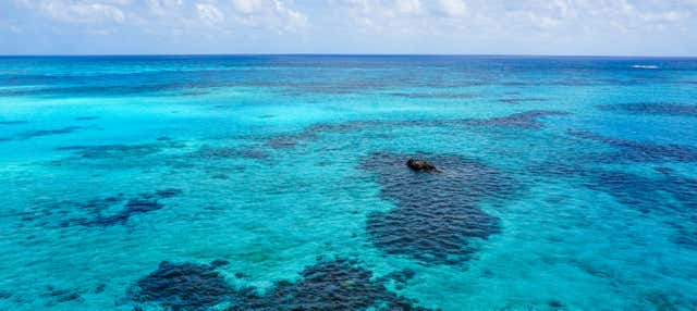 Excursão a Punta Arrecife