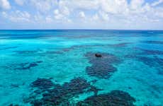 Excursión a Punta Arrecife