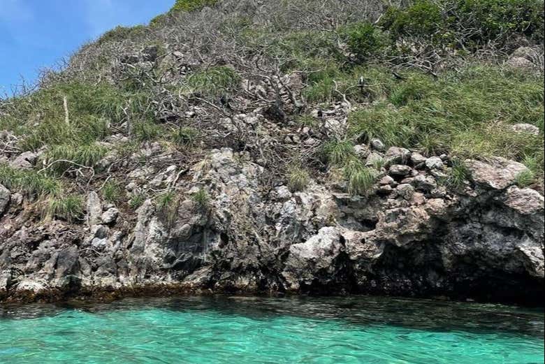 Admirando a costa da ilha