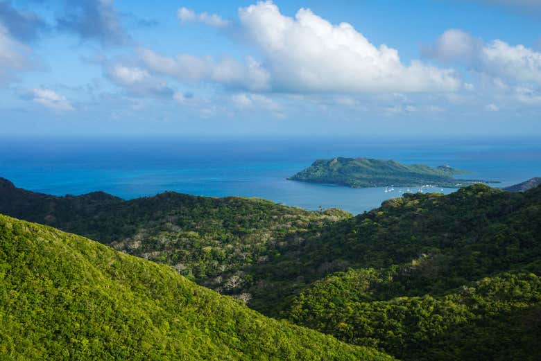 Vue sur la forêt de Providencia