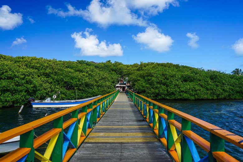 El Parque McBean Lagoon desde el Puente de los Enamorados