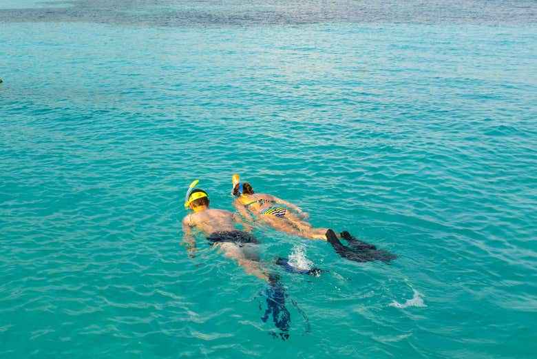 Praticando snorkel em Cayo Cangrejo