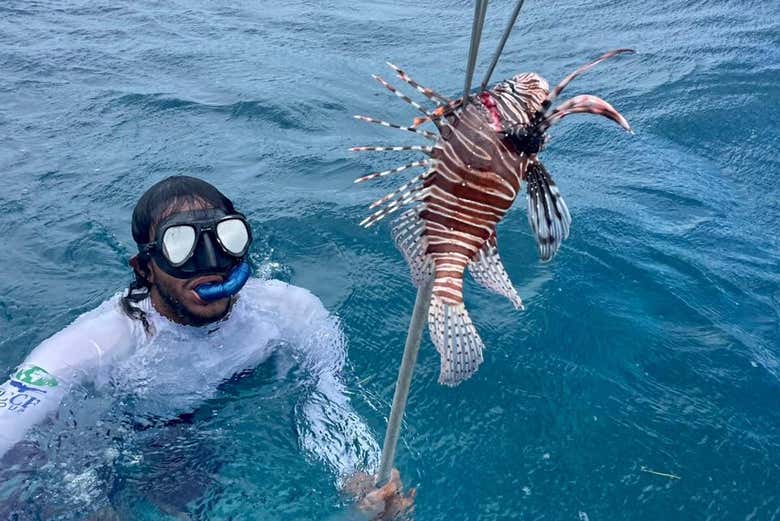 Un hombre pescando un pez león en la isla de Providencia