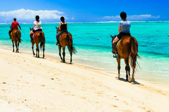 Paseo a caballo por Providencia