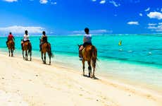 Paseo a caballo por Providencia