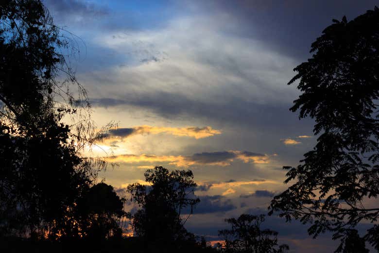 Sunset in the Amazon rainforest