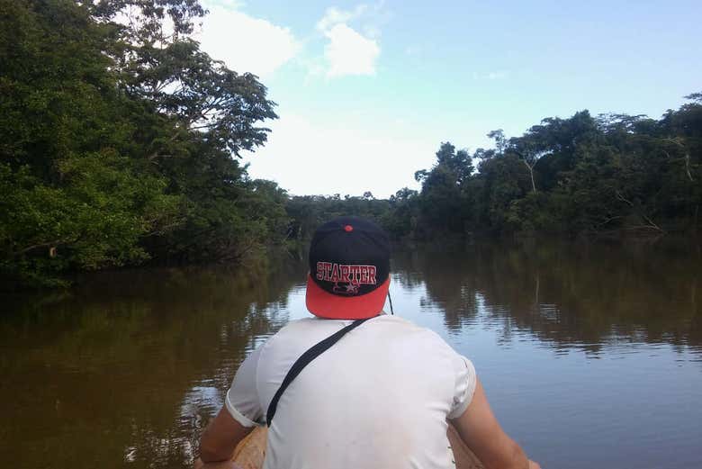 In search of river dolphins
