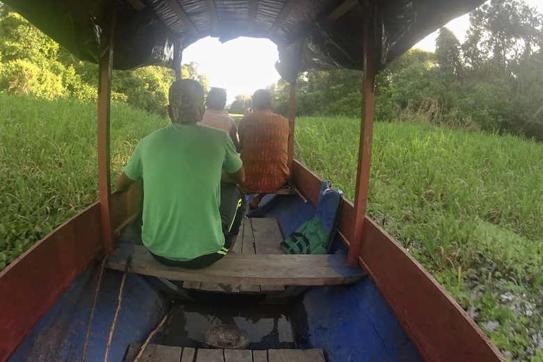 Entering the flooded forest