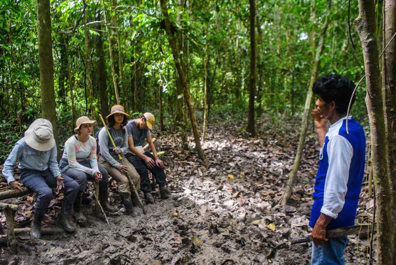 Listening to the jungle guide