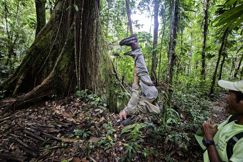 Playing with the jungle vines