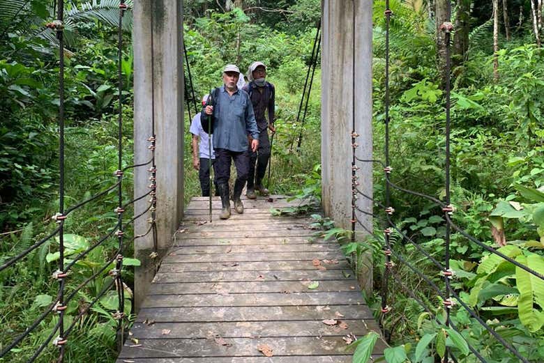 Walking through Amacayacu natural park