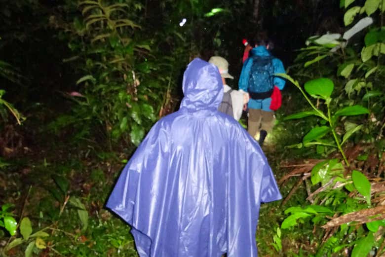 Night hiking in the Amazon rainforest