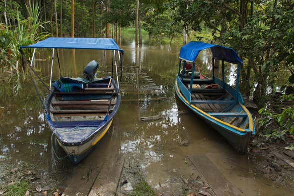 Excursión a la isla Cacao y visita a la comunidad de San Antonio