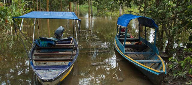 Excursión a la isla Cacao y visita a la comunidad de San Antonio