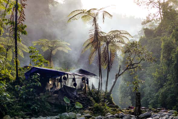 Noche en la selva amazónica