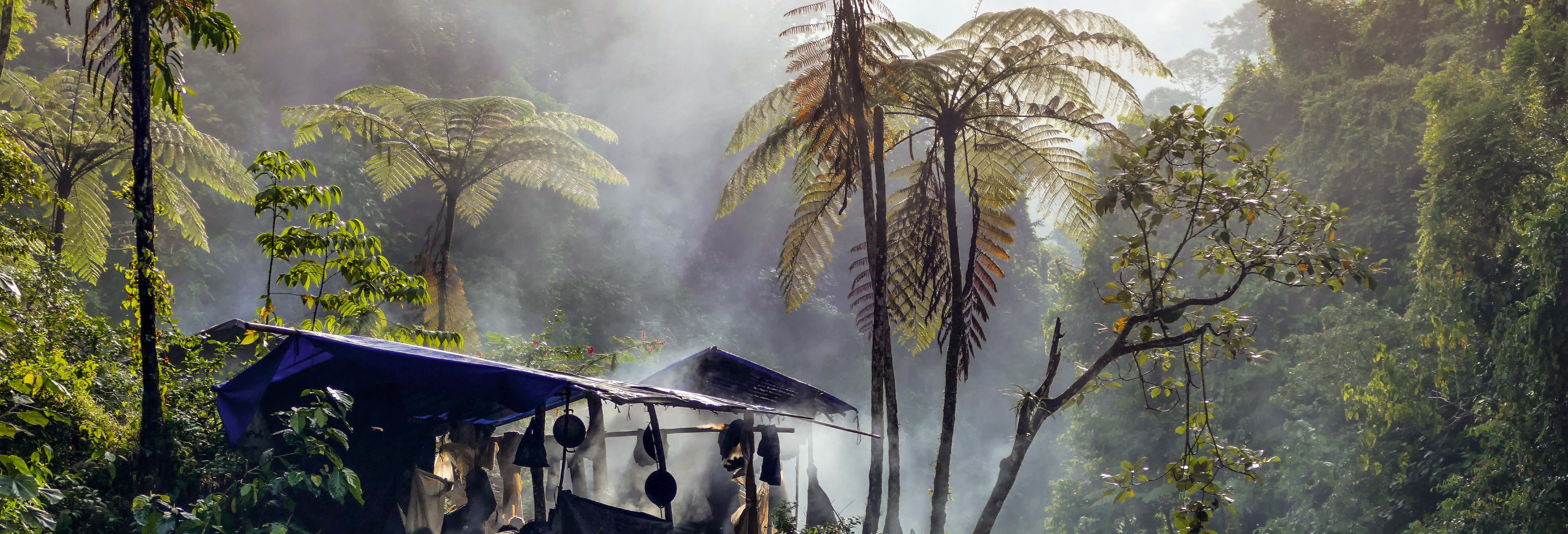 Excursiones de un día en Puerto Nariño