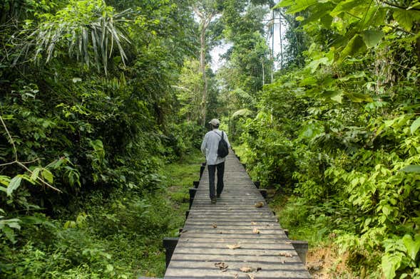 Hiking in Amacayacu National Park