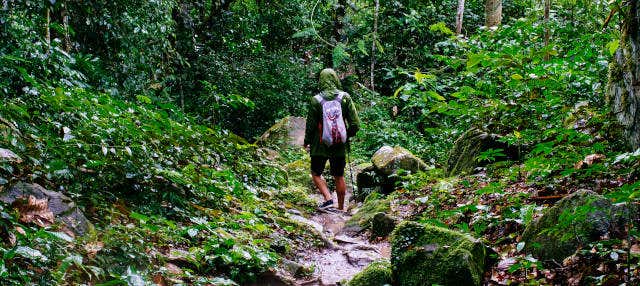 Randonnée dans la jungle amazonienne + Communauté de Santa Teresita