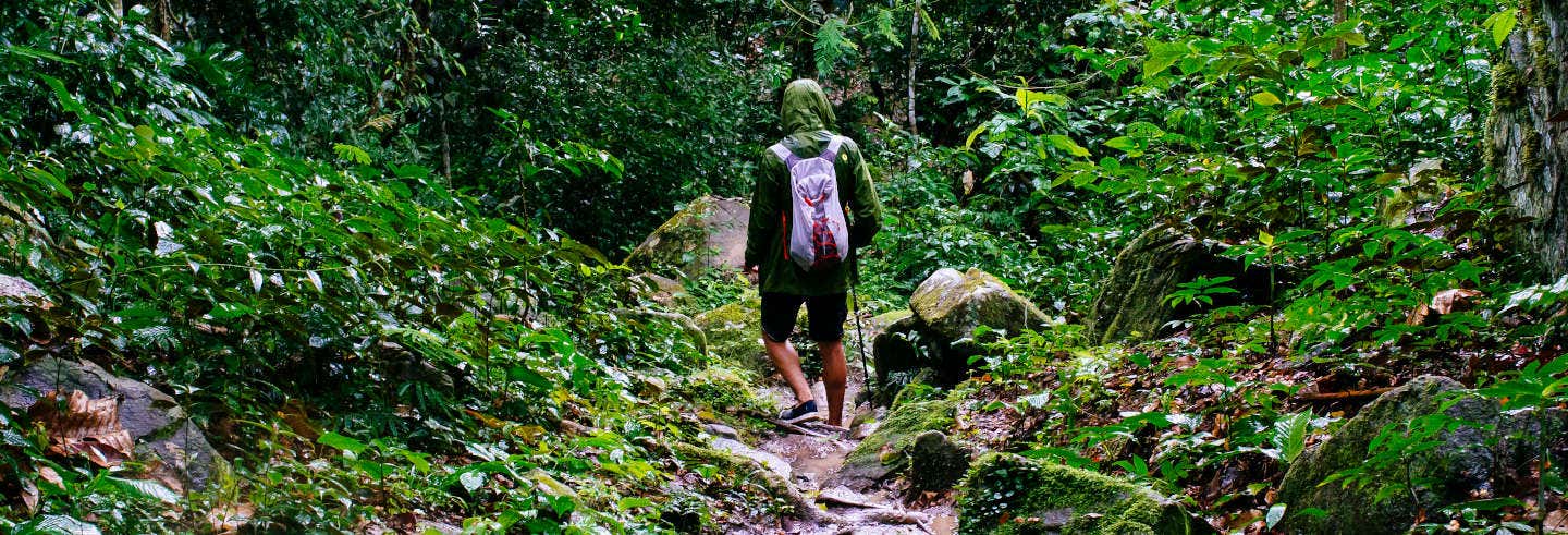 Senderismo / Trekking en Puerto Nariño