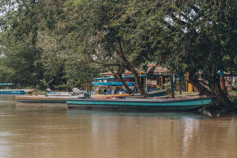 Paseo en canoa por el río Magdalena