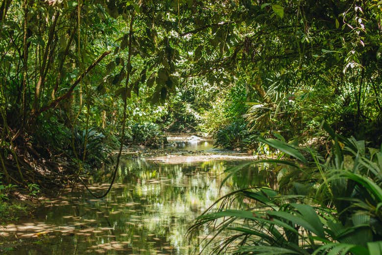 Rio Claro