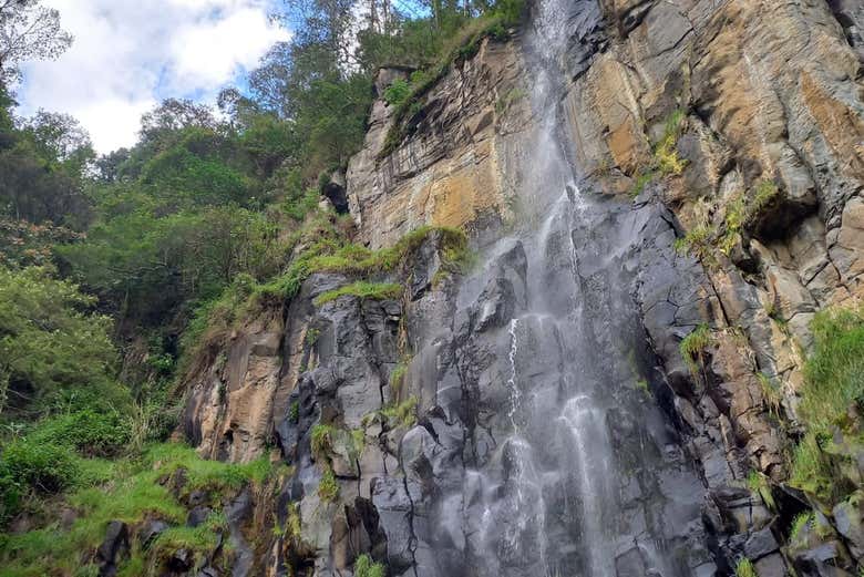 Una enorme cascada en la reserva