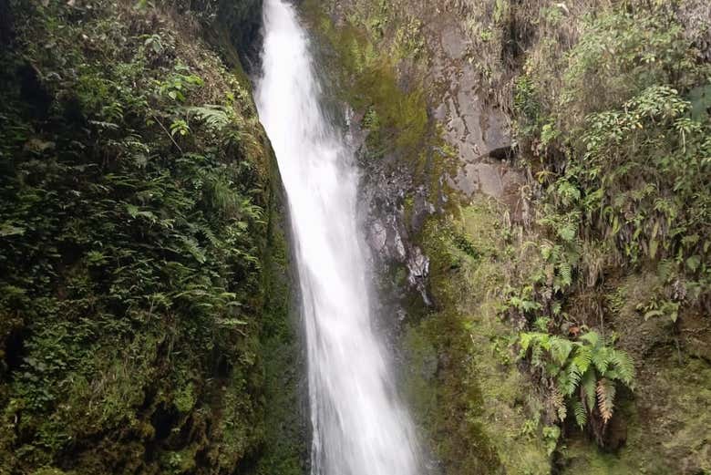 Otra de las cascadas que podremos admirar en la Reserva Chiliglo