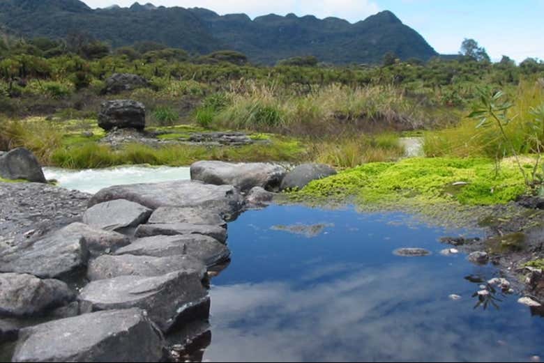 Una piscina natural en la reserva