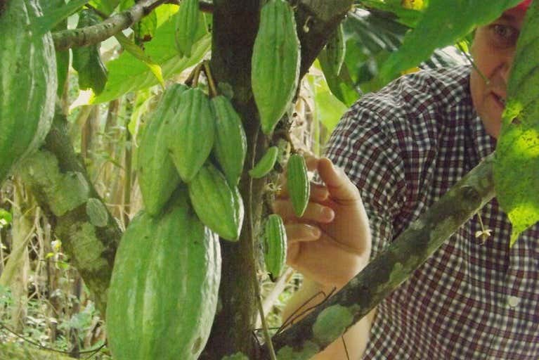 Cultivos de la granja