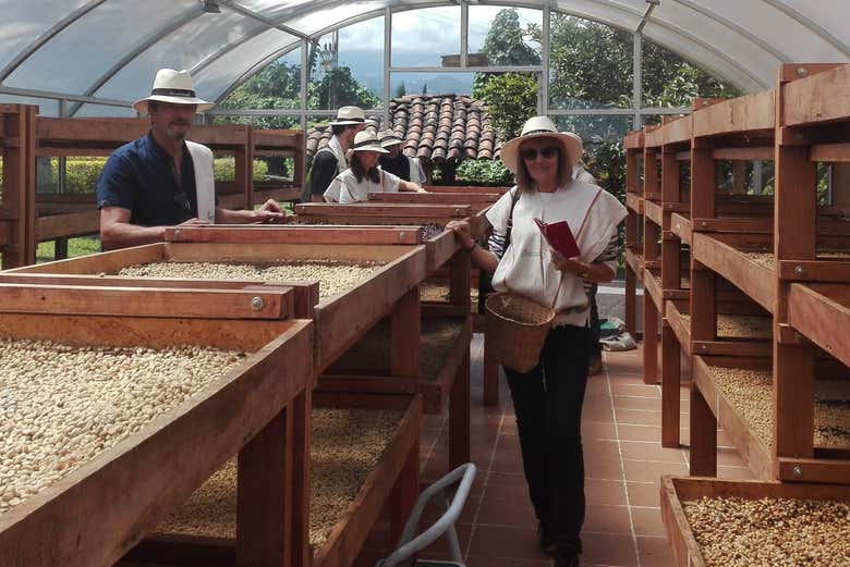 Visitando la tenuta Casa Vieja