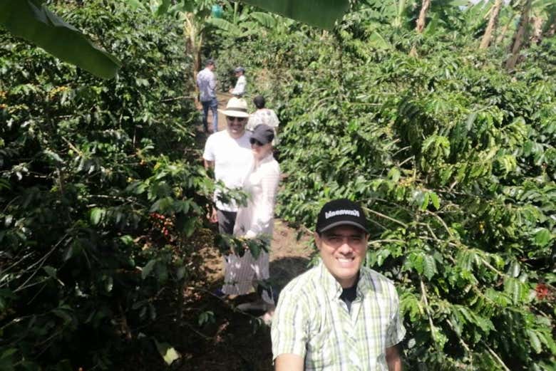 Visitando la tenuta di El Argel