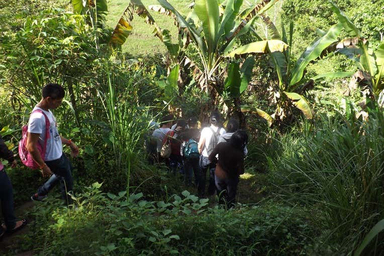 Visitando la granja de Mamá Lulú