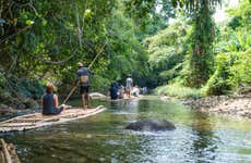 Quimbaya Bamboo Raft Ride