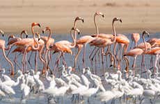 Tour de 2 días por Manaure y el Santuario Los Flamencos