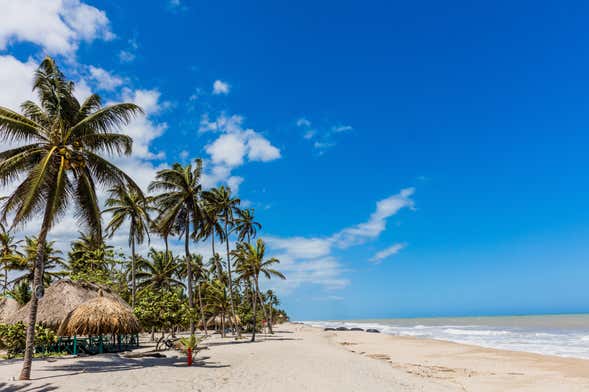 Excursão à praia de Palomino