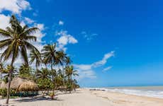 Excursión a la playa de Palomino