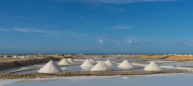 Manaure Salt Mines Tour + Wayúu Ranch