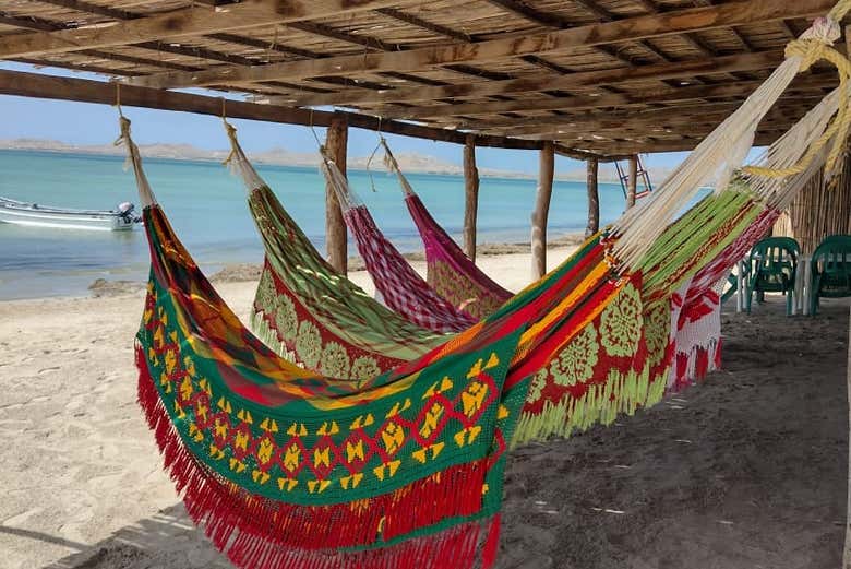 Hamacas