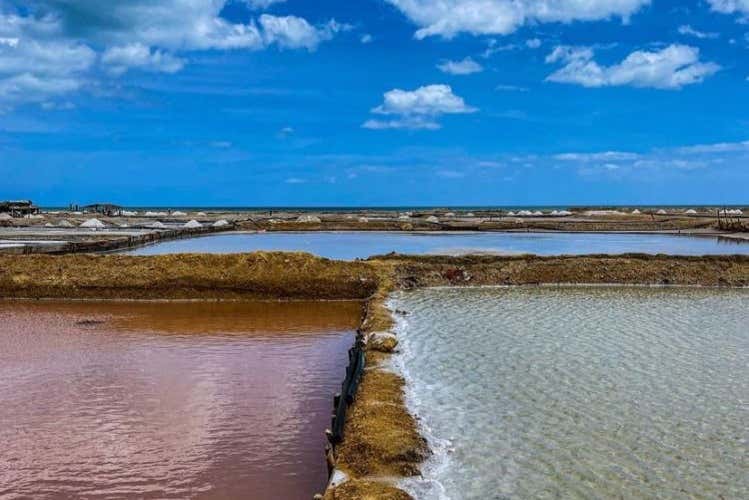 ¡Bienvenidos a Manaure!
