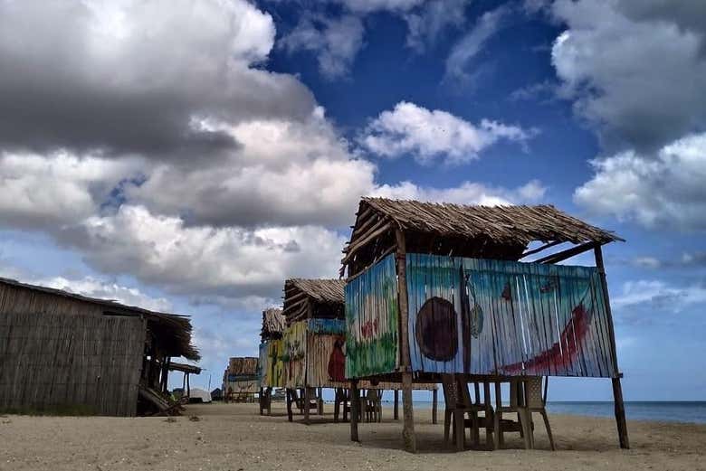 Descubriendo Manaure