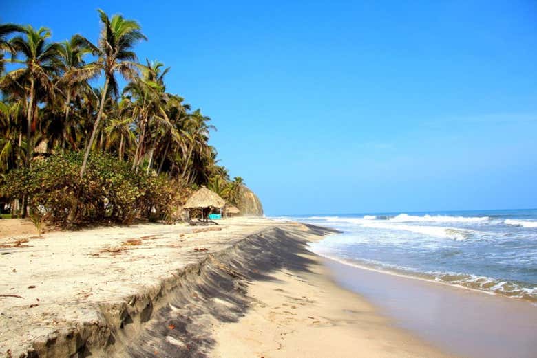 Praia de Palomino