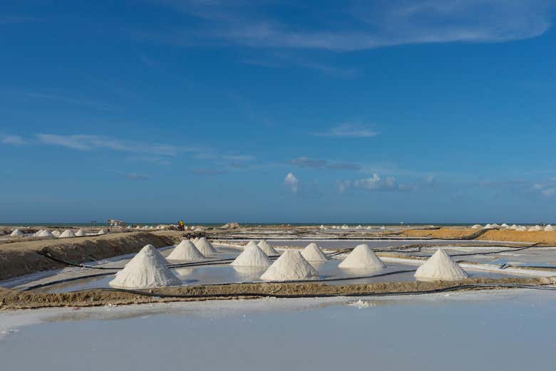 Manaure Salt Flats